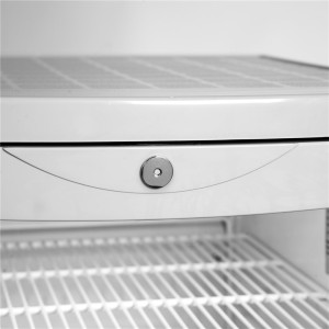 Armoire Réfrigérée à Boissons Vitrée avec Ventilateur - 105 L