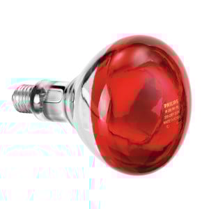 Ampoule Infrarouge IWL250D pour Lampe Chauffante Infrarouge