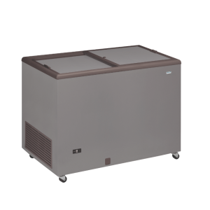 Congélateur Coffre Professionnel Aspect Inox et Couvercle Opaque - 400 L