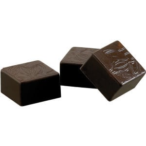 Plaque Carré Décor Cabosse en Chocolat - 24 Empreintes