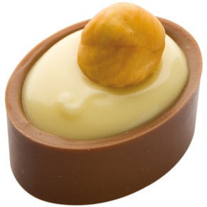 Plaque Coque Ovale en Chocolat - 24 Empreintes