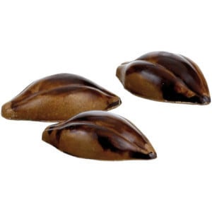 Plaque Cabosse en Chocolat - 24 Empreintes - 47,5 x 26 mm