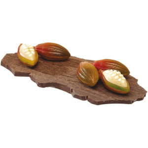 Plaque Cabosse en Chocolat - 24 Empreintes - 23 x 50 mm