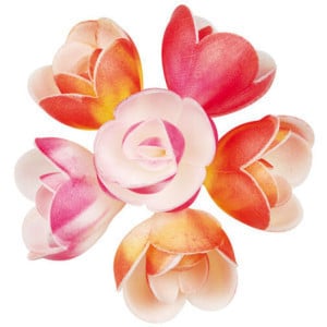 Assortiment Fleurs Pastel - Lot de 72