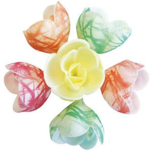 Assortiment Fleurs Pastel Zébrées - Lot de 72