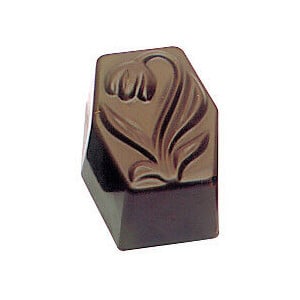 Plaque Rectangle Tulipe en Chocolat - 36 Empreintes
