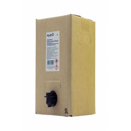 Solution Hydro-Alcoolique - 5L FourniResto - 1 Solution Hydro-Alcoolique - 5L FourniResto - 1
