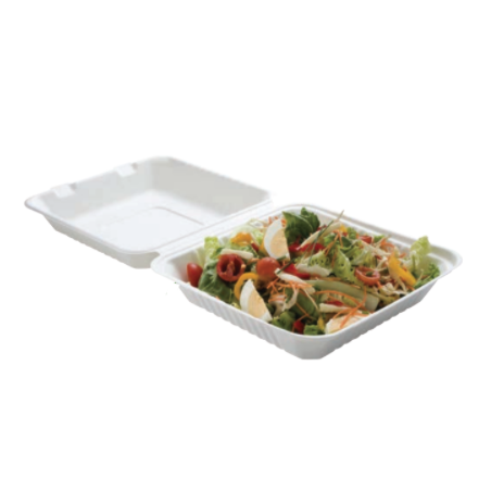 Lunch Box Bagasse 1 Compartiment - Lot de 50 FourniResto - 1