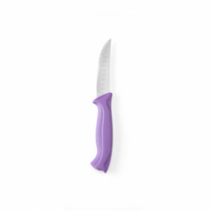 Couteau Universel à Manche Violet - Lame 9 cm HENDI - 1