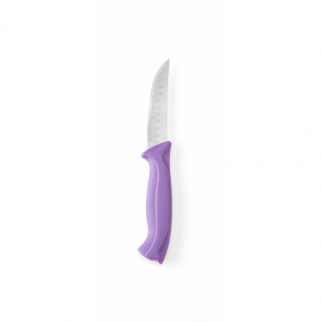 Couteau Universel à Manche Violet - Lame 9 cm HENDI - 1