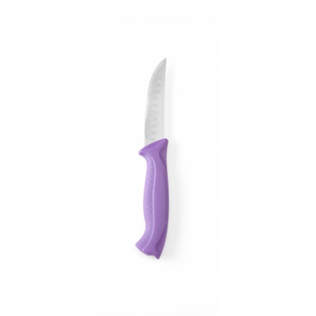 Couteau Universel à Manche Violet - Lame 10 cm HENDI - 1