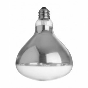 Ampoule pour Lampe Chauffante Infrarouge HENDI - 2