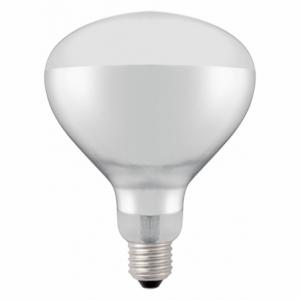 Ampoule pour Lampe Chauffante Infrarouge HENDI - 3