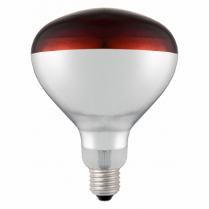 Ampoule Rouge pour Lampe Chauffante Infrarouge HENDI - 3