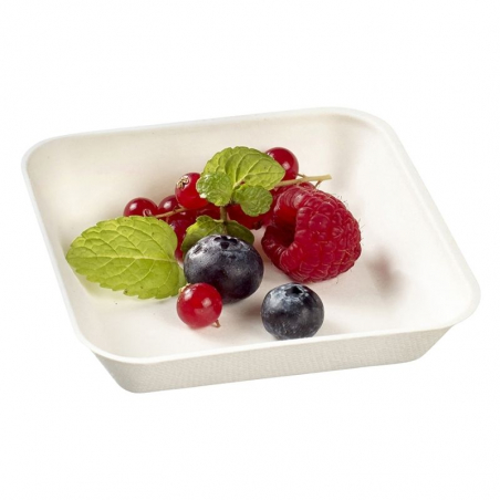 Assiette Kanopée Blanche - 100 x 100 mm - Lot de 50 FourniResto - 1 Assiette Kanopée Blanche - 100 x 100 mm - Lot de 50 FourniResto - 1