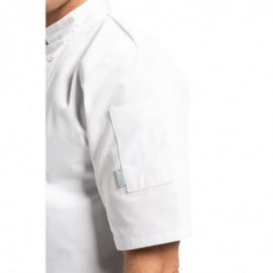 Veste de Cuisine Mixte Blanche à Manches Courtes Vegas - Taille XL Whites Chefs Clothing  - 3