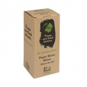 Pailles Compostables en Papier Argentées - L 210 mm - Lot de 250 Fiesta Green - 1