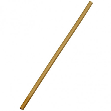 Paille en Roseau Naturel Ø 6 mm - L 200 mm - Lot de 100 FourniResto - 1 Paille en Roseau Naturel Ø 6 mm - L 200 mm - Lot de 100 FourniResto - 1