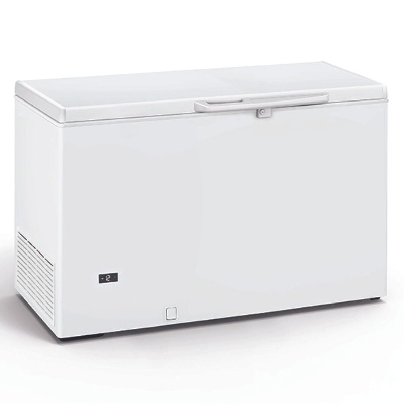 Congélateur coffre professionnel blanc 278 L - FR305SL - TEFCOLD