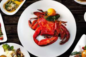 la-restauration-gastronomique-en-europe-est-bien-preparee-contenir-avec-le-homard-du-maine-la-salade-cesar-l-39-aile-de-poulet-les-epinards-cuits-la-soupe-de-citrouille_1258-202