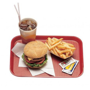 plateau-polypropylene-fast-food-a-rebord-eleve-lot-de-24