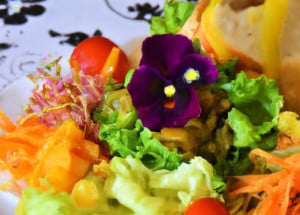 salad-2655934_960_720