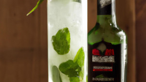 bacardi_mojito-1600x900