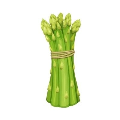 Illustration d'asperges