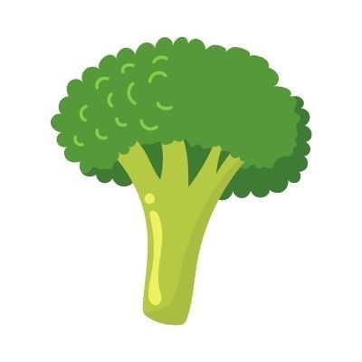 Illustration d'un brocoli