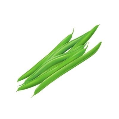 Illustration d'haricots verts