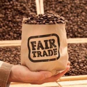 Grains de café Fairtrade