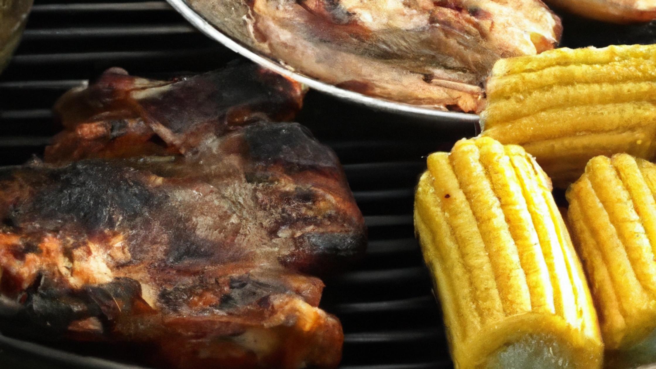 Barbecue VS Plancha : que choisir ?
