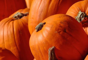 pumpkin-2752072_960_720