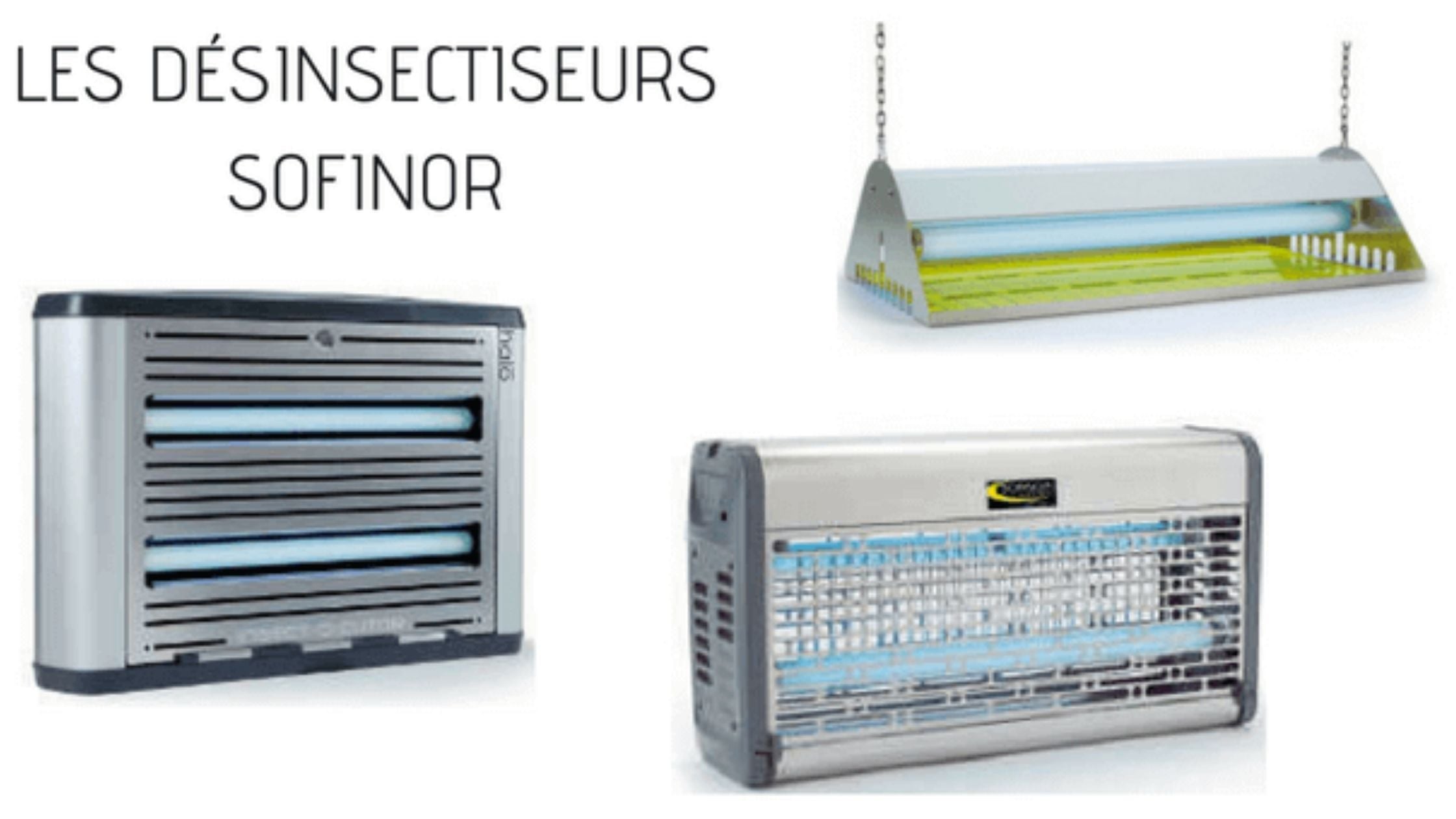 Bientôt l’été : les désinsectiseurs sont de sortie !