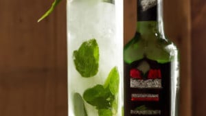 bacardi_mojito-1600x900