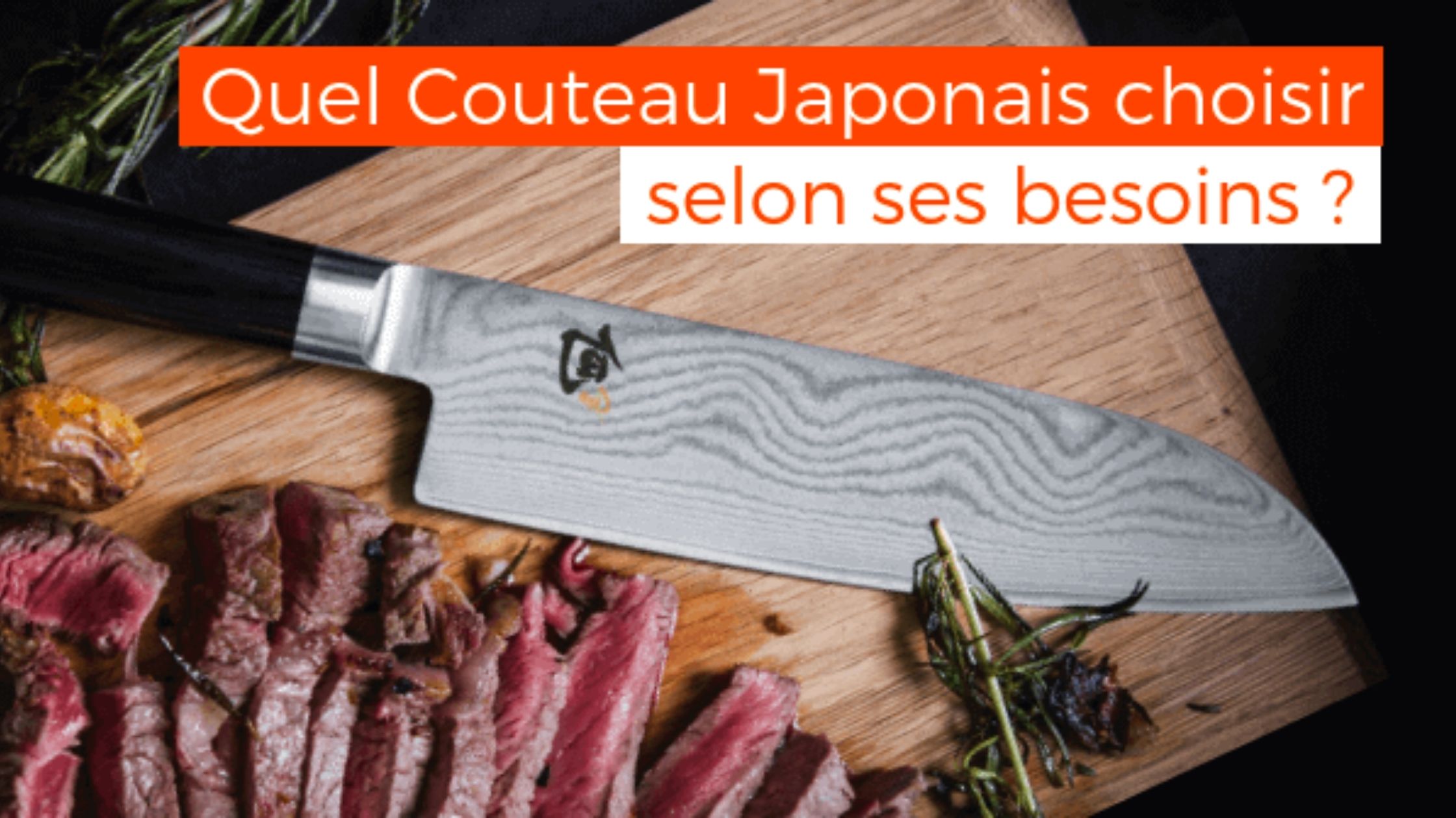 Quel Couteau Japonais choisir selon ses besoins ?