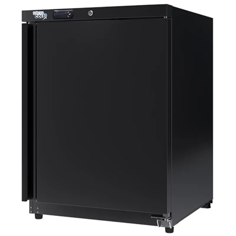 Mini Armoire Réfrigérée 200 L - Positive Noire