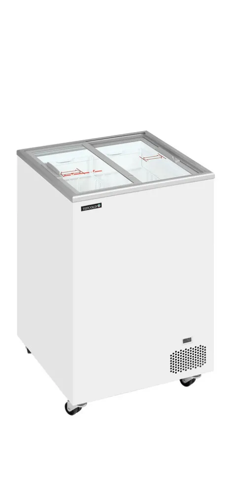 Congélateur Coffre pour Crème Glacée - 91 L