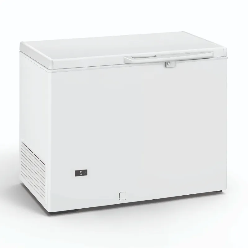 Congélateur Coffre Professionnel - 290 L