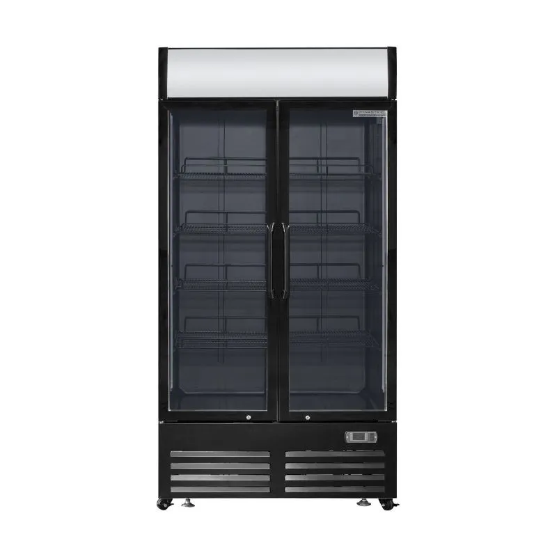 Vitrine à Boissons Réfrigérée 736 L 2 Portes Vitrées Battantes 2-8 °C, Canopy Publicitaire, Gaz R290, 258 W, Noir