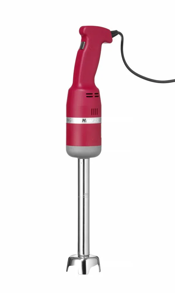 Mixeur Plongeur Profi Line 250 à Vitesse Fixe