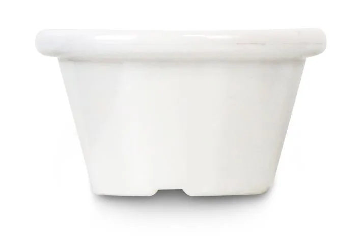 Ramequins Couleur Ivoire en Plastique - Lot de 12