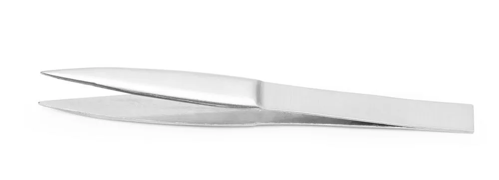Pince à Arête à Tête Pointue en Inox - L 155 mm