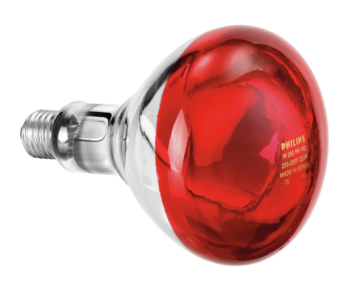 Ampoule Infrarouge IWL250D pour Lampe Chauffante Infrarouge