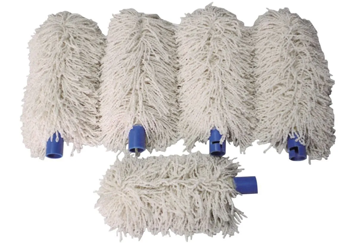Brosse à Polir - Lot de 5