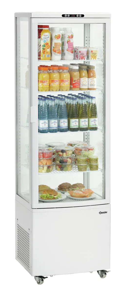 Vitrine Réfrigérée Professionnelle - 235 L