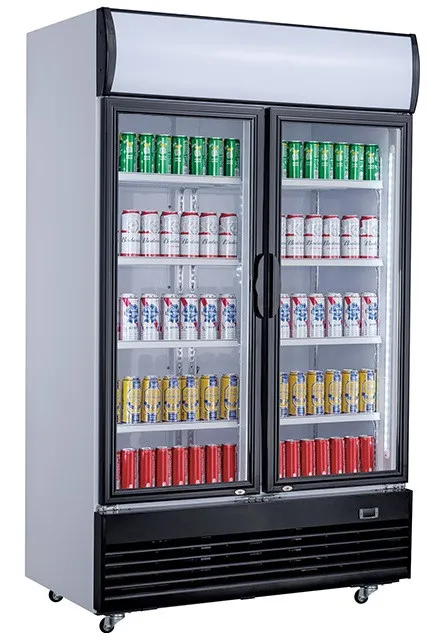 Armoire à Boissons - 2 Portes Vitrées - 800 L