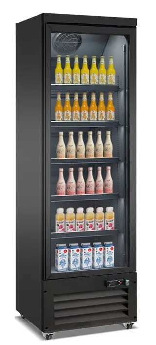 Vitrine à Boissons Noire à 2 Portes Vitrées - 450 L