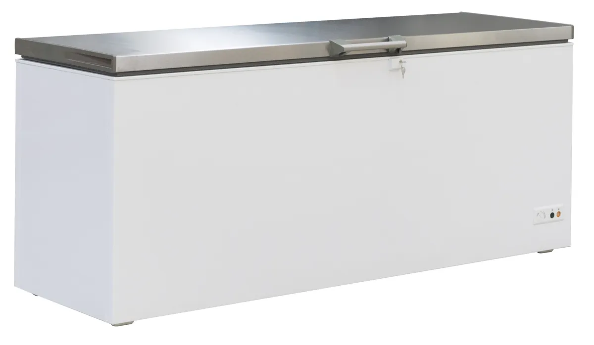 Congélateur Coffre avec Couvercle Inox - 635 L