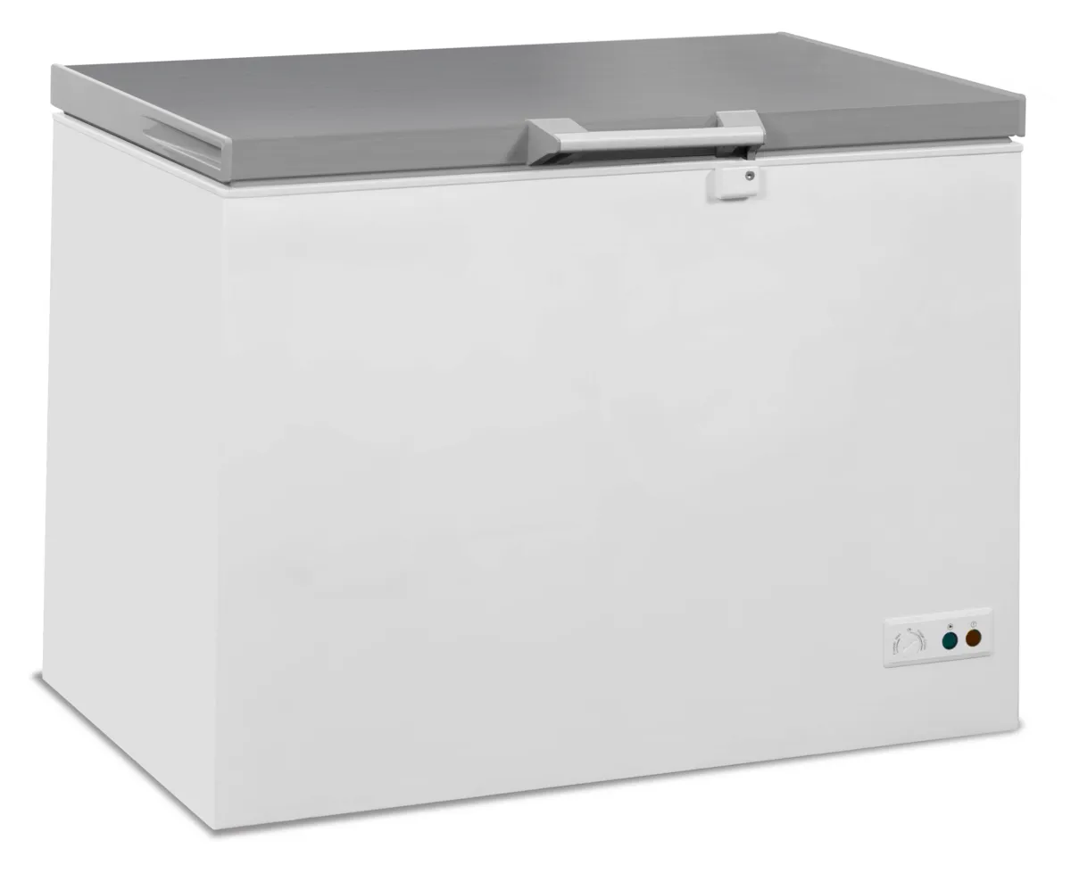 Congélateur Coffre avec Couvercle en Inox - 305 L